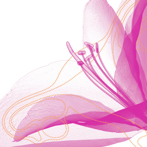 ESMO-Gynaecological-Cancers-Congress-2023-1000x1000