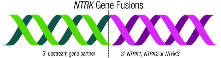 NTRK基因聚合横幅